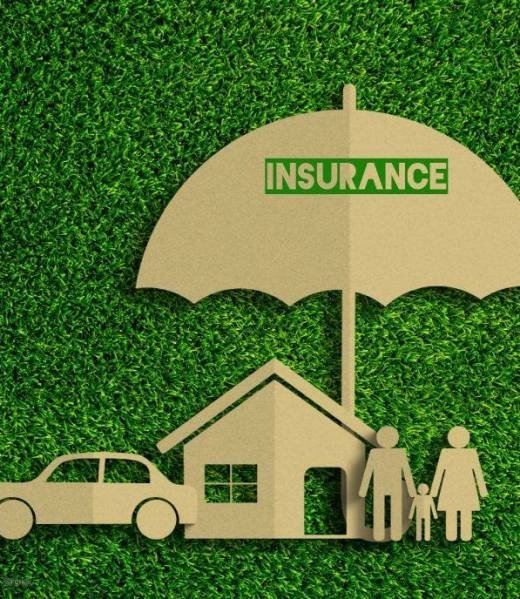 photo_3_2026-02-06_20-16-55